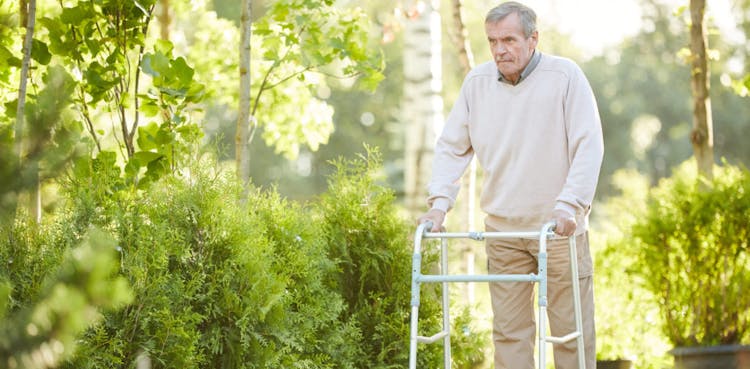 ¿Por qué fallecen los ancianos con fractura de cadera?
Un adulto mayor se apoya en un andador para caminar en un parque durante un día soleado.
