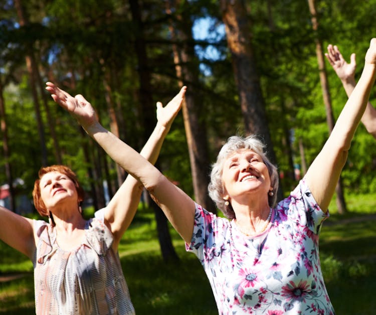 Los cuidados de adultos mayores en verano son vitales.
Tres adultas mayores abren sus brazos hacia el cielo como gesto de disfrute del aire libre. Están felices en un día soleado en un parque.